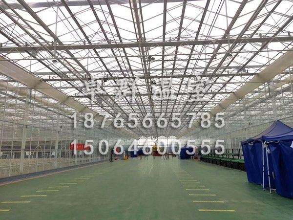 遼寧大連魚菜共生